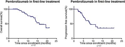 The clinical outcome of pembrolizumab for patients with recurrent or metastatic squamous cell carcinoma of the head and neck: a single center, real world study in China